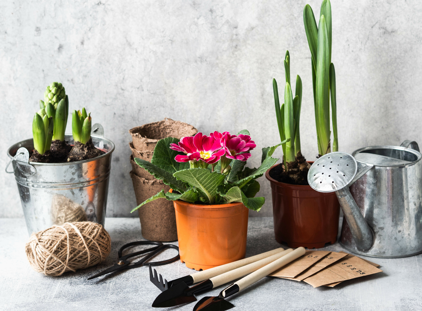 Introduction to the Japanese Gardening Tools: 5 to 9