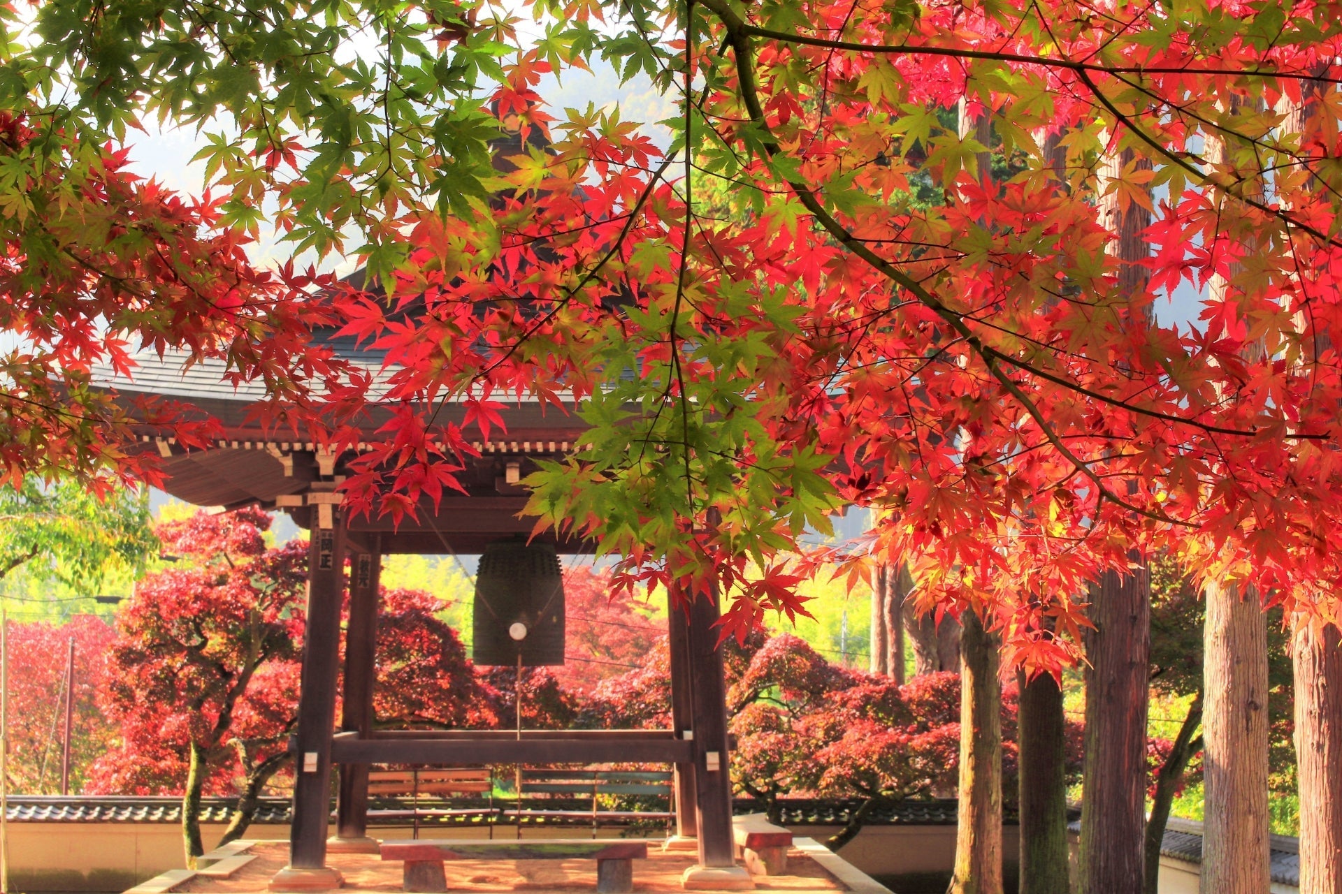 Four Seasons in Japan:Autumn & Winter