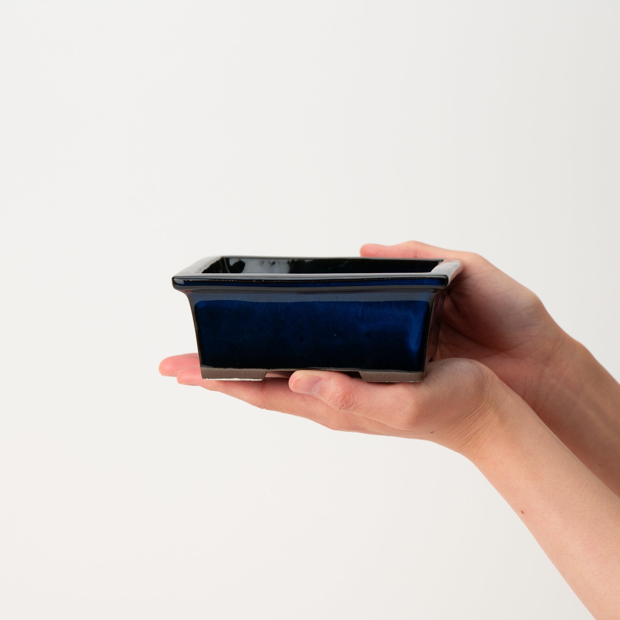 Naginowa Namako longhorn BANKO Ware Japanese Bonsai Pot 5.3 in.