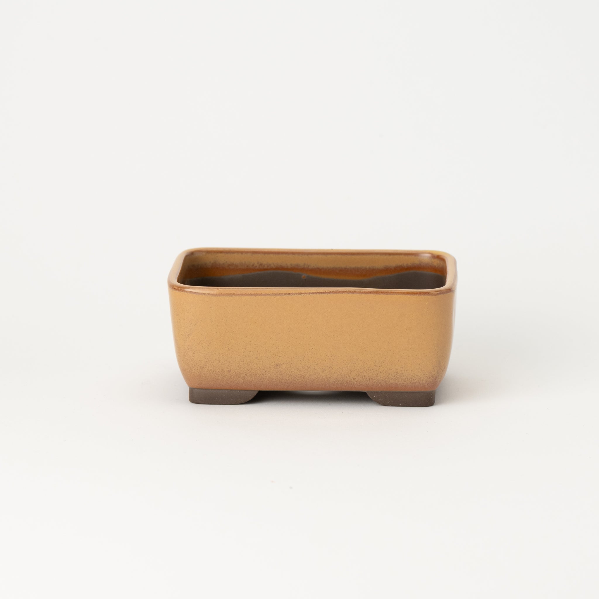 Naginowa Yellow Nadir BANKO Ware Japanese Bonsai Pot 5.4 in.