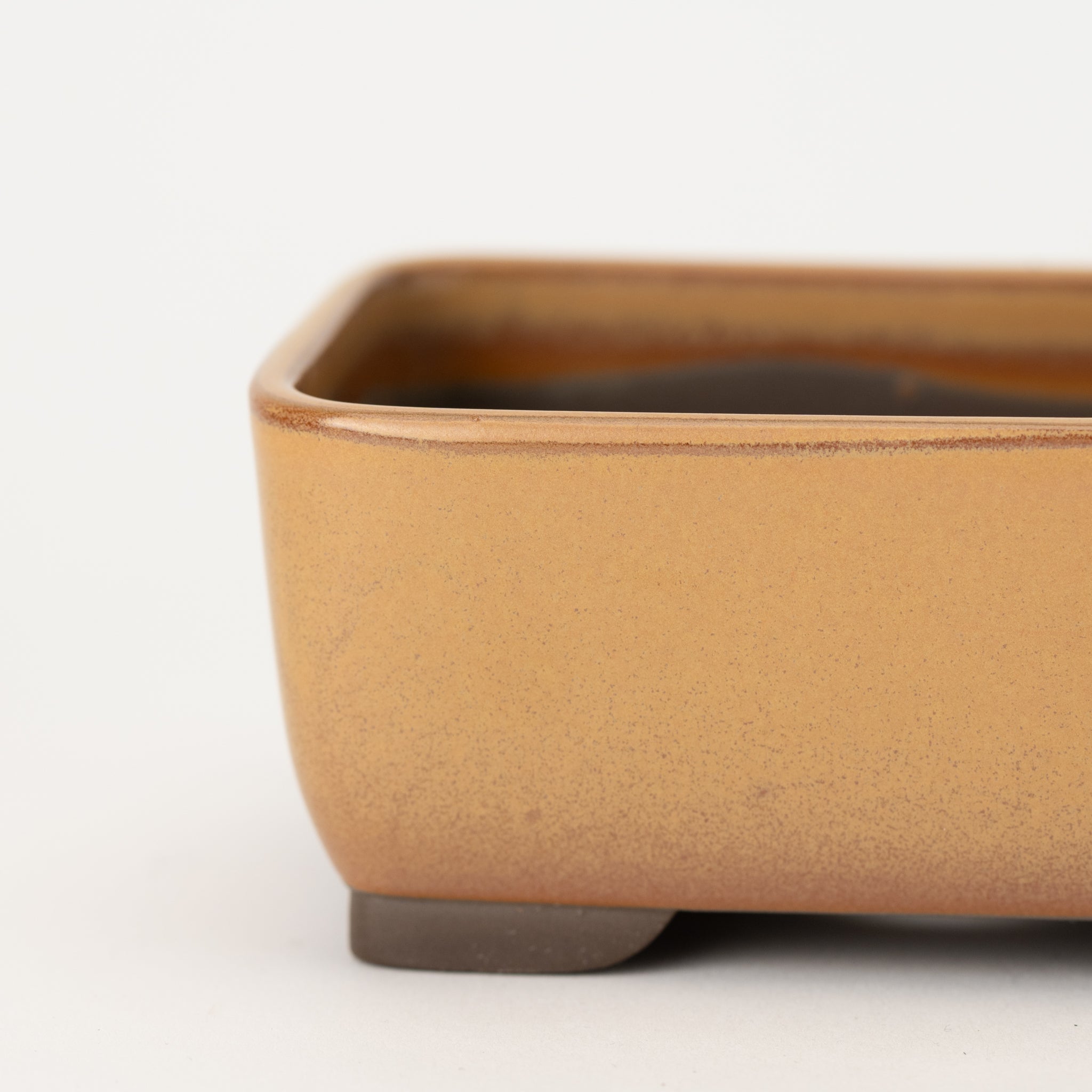 Naginowa Yellow Nadir BANKO Ware Japanese Bonsai Pot 5.4 in.