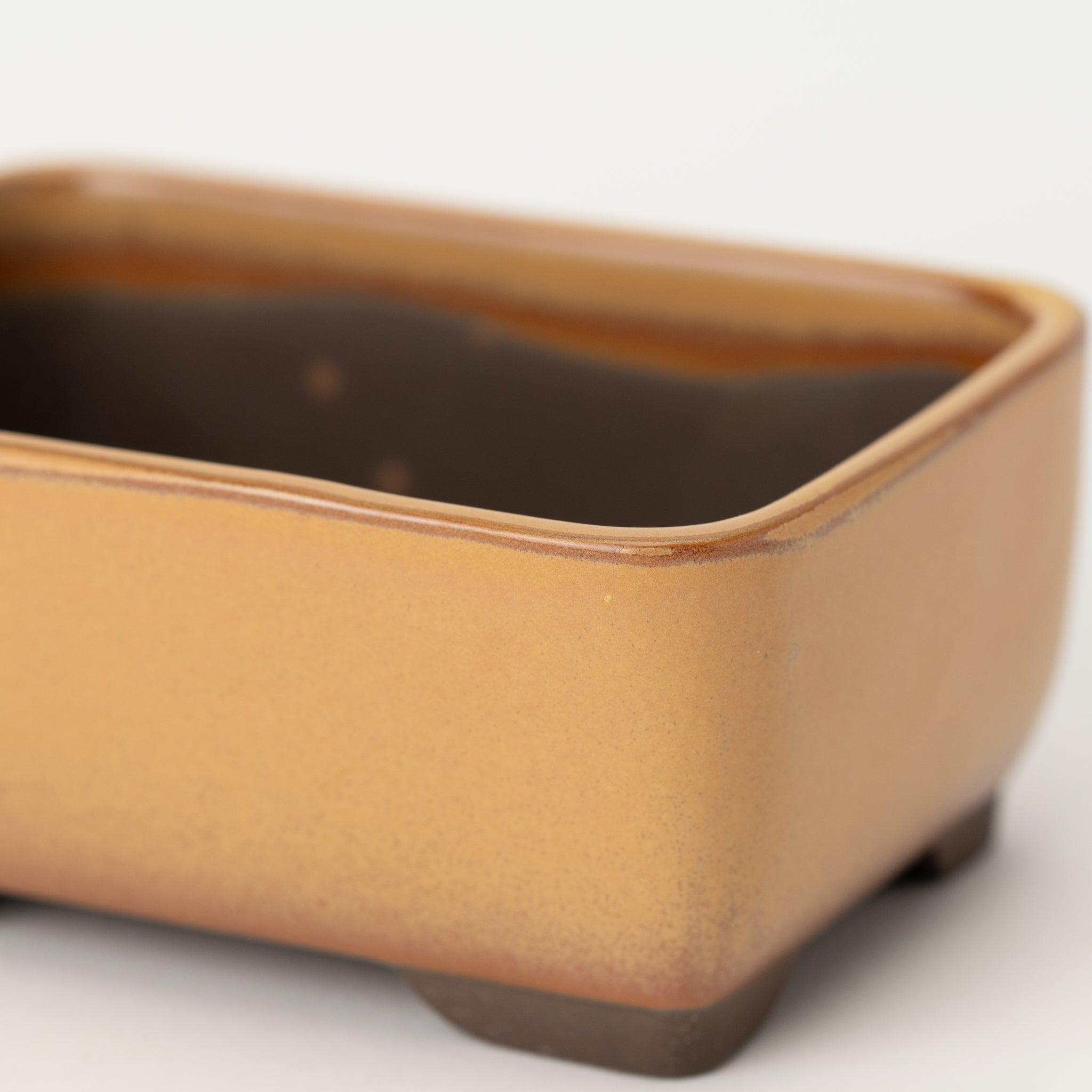 Naginowa Yellow Nadir BANKO Ware Japanese Bonsai Pot 5.4 in.