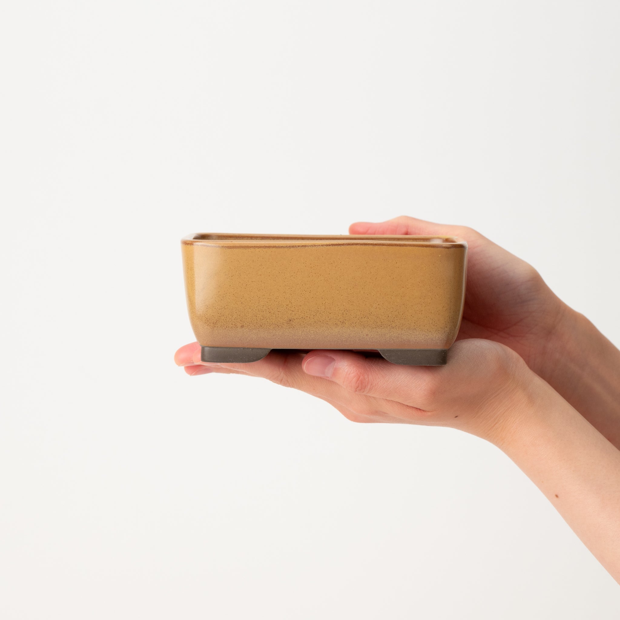 Naginowa Yellow Nadir BANKO Ware Japanese Bonsai Pot 5.4 in.