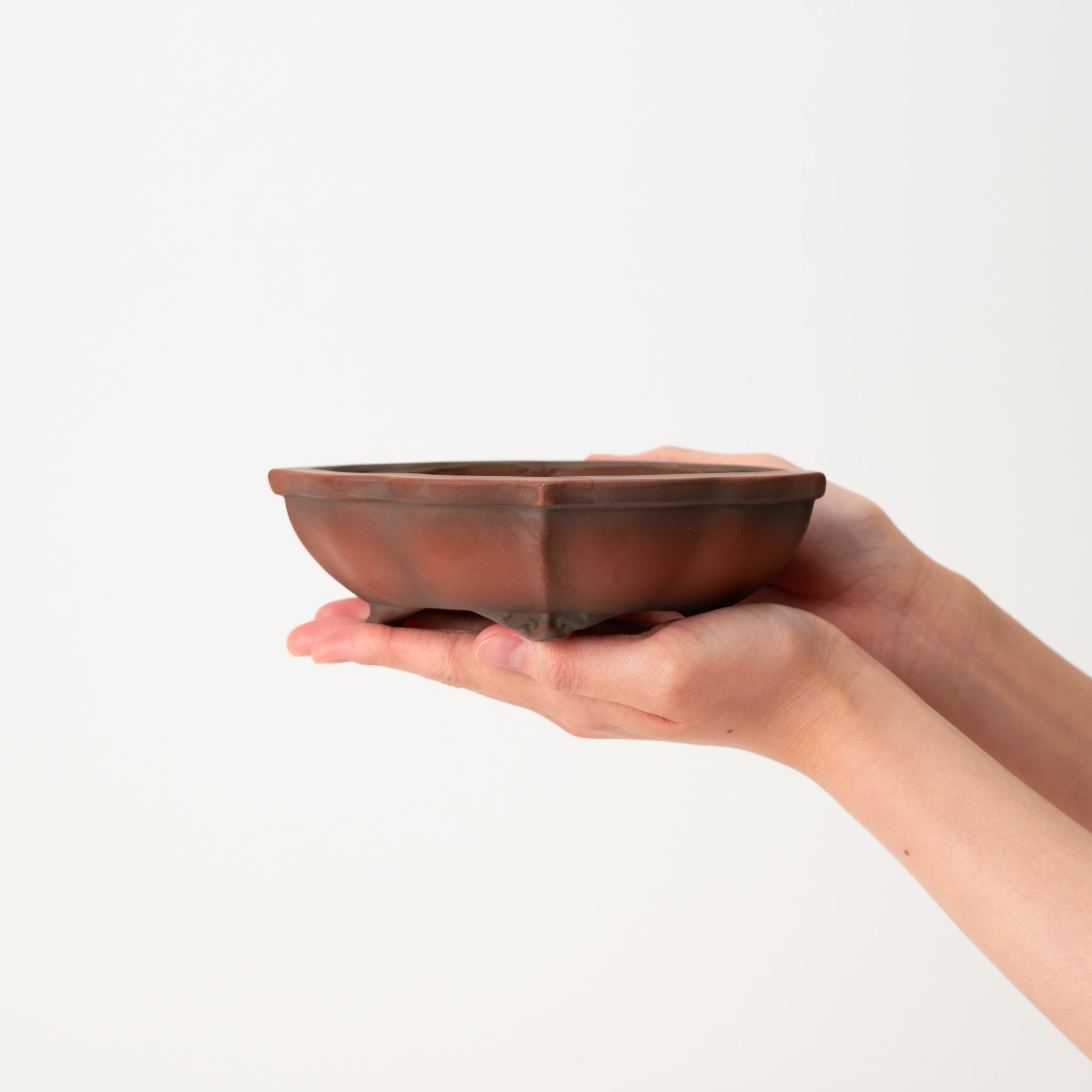 Bigei Tokoname Ware Oval Choenomeles Lagenaria Japanese Bonsai Pot