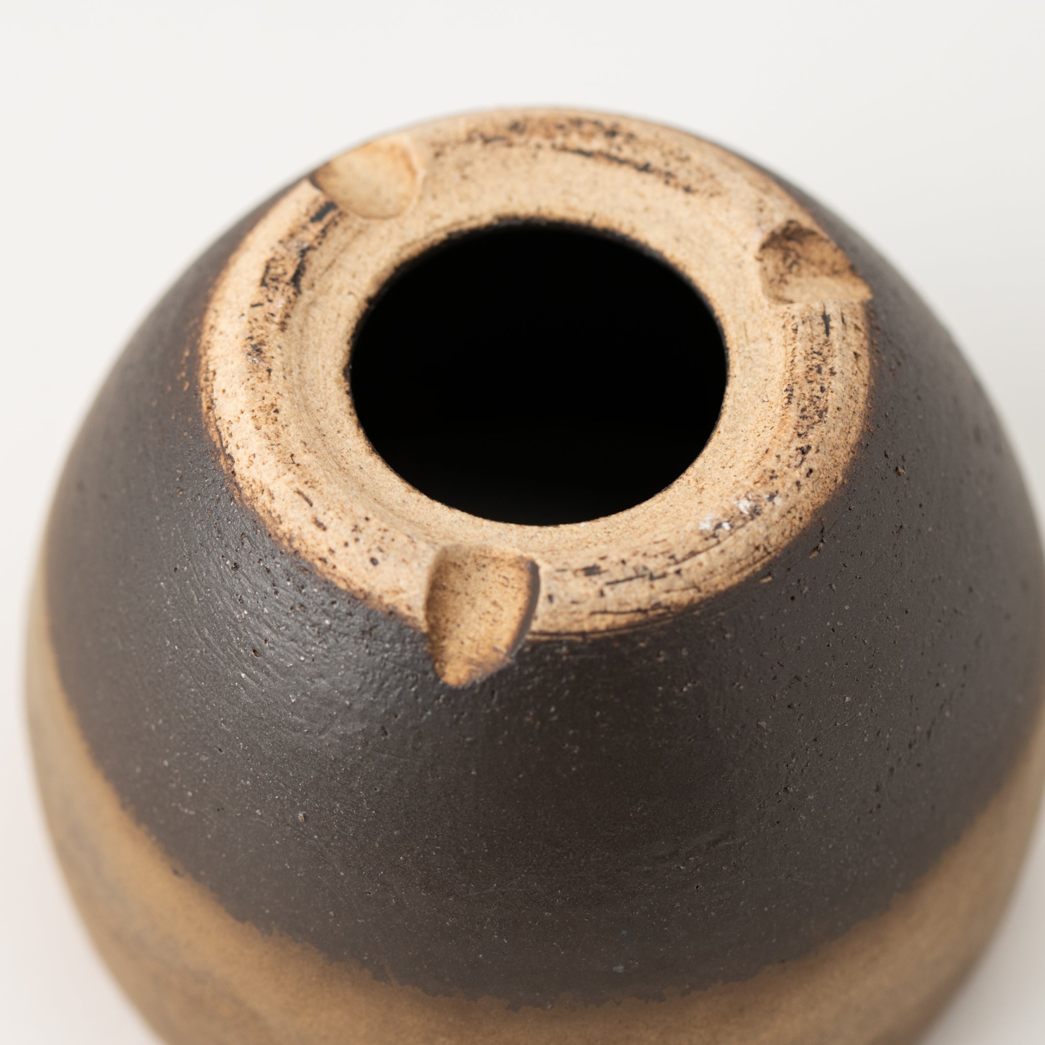 Naginowa Shigaraki Ware Gold Japanese Bonsai Pot