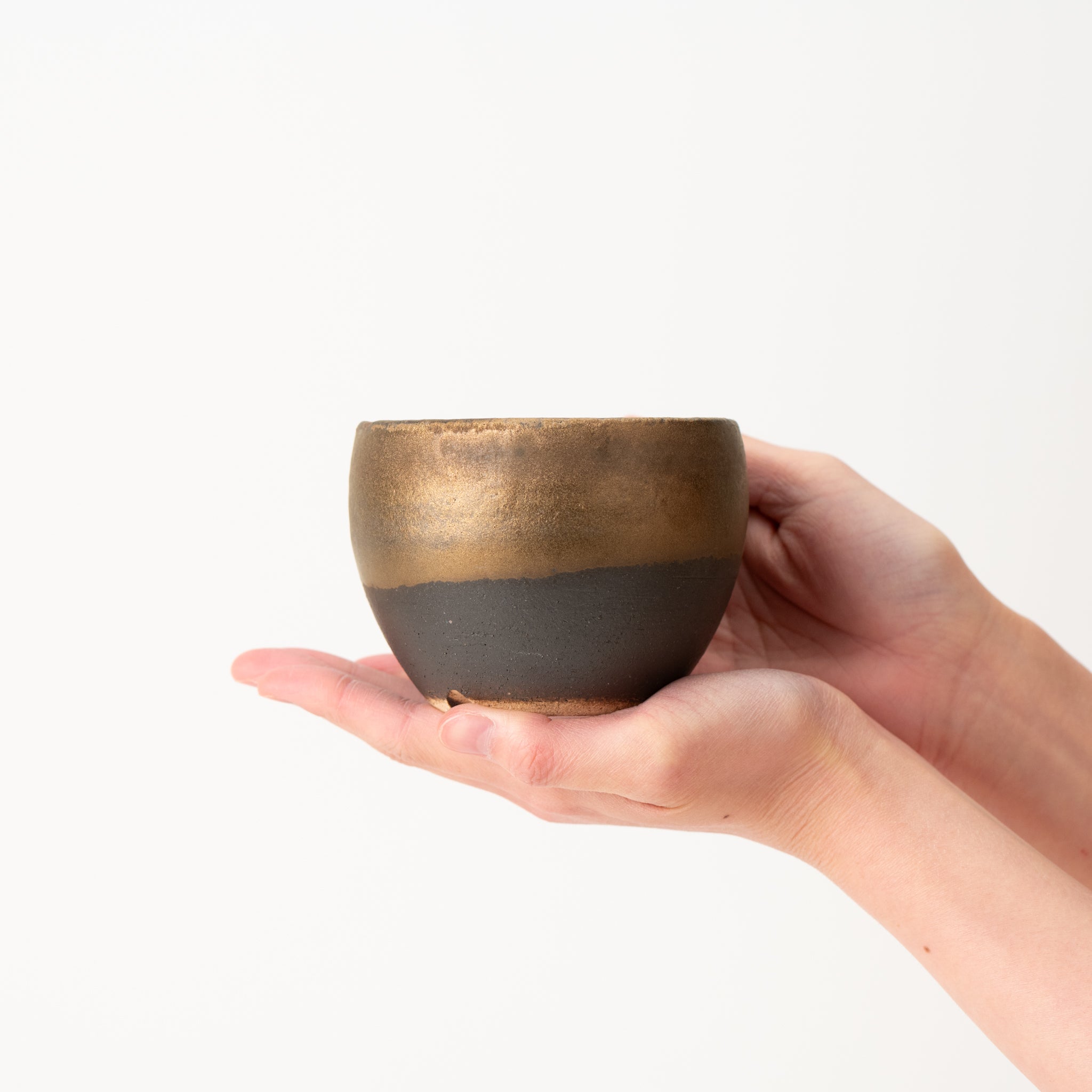 Naginowa Shigaraki Ware Gold Japanese Bonsai Pot