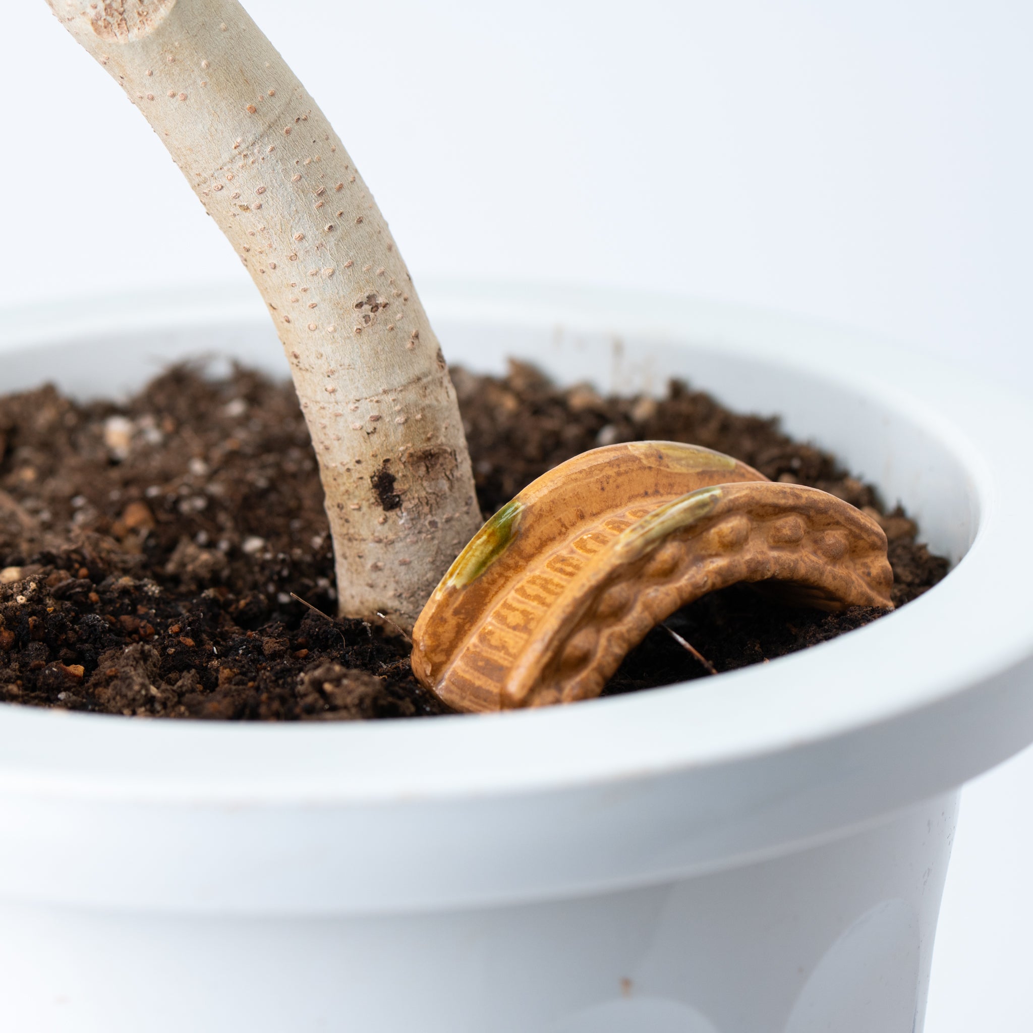Bonsai Ornament - Wooden-style Bridge