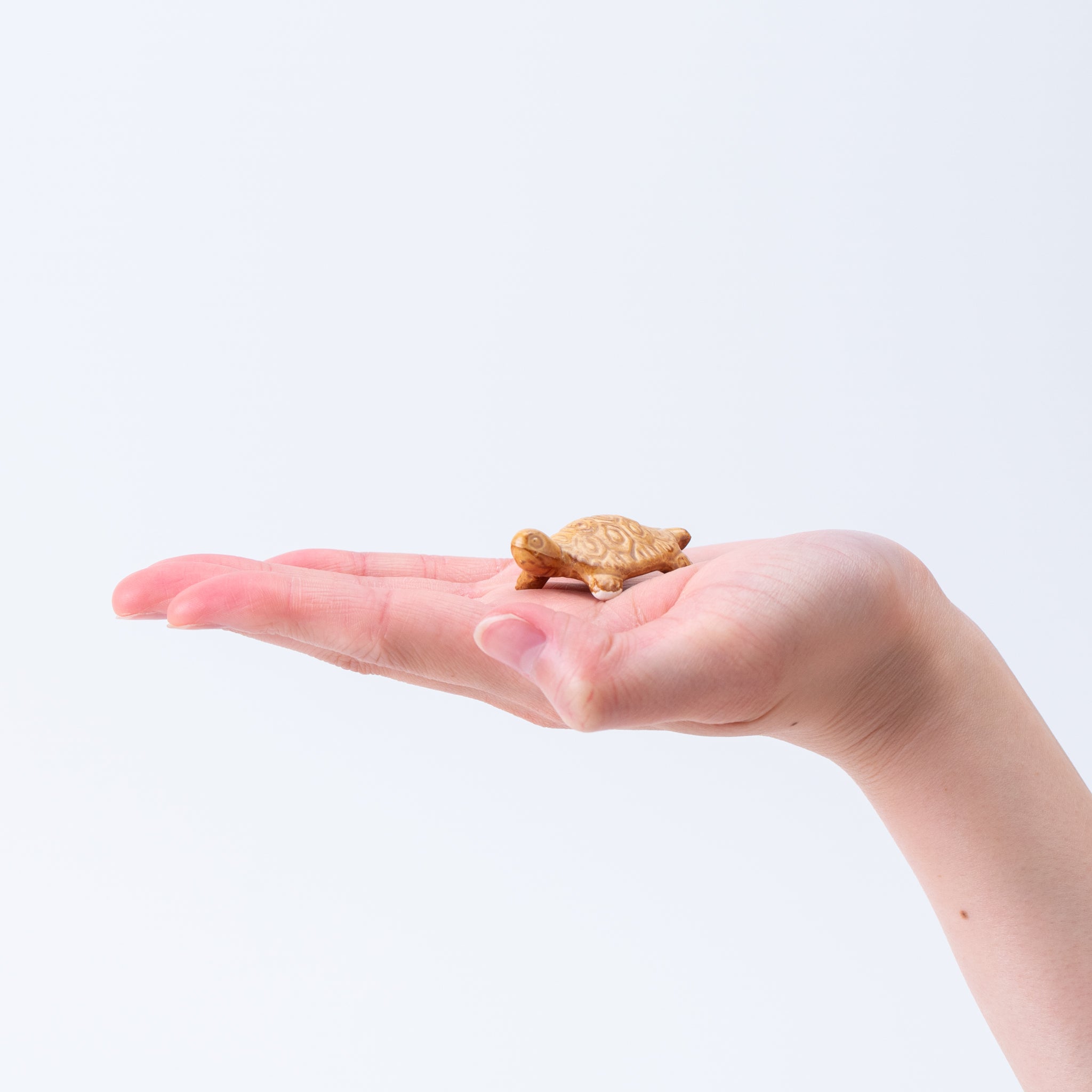 Bonsai Ornament - Beige Turtle