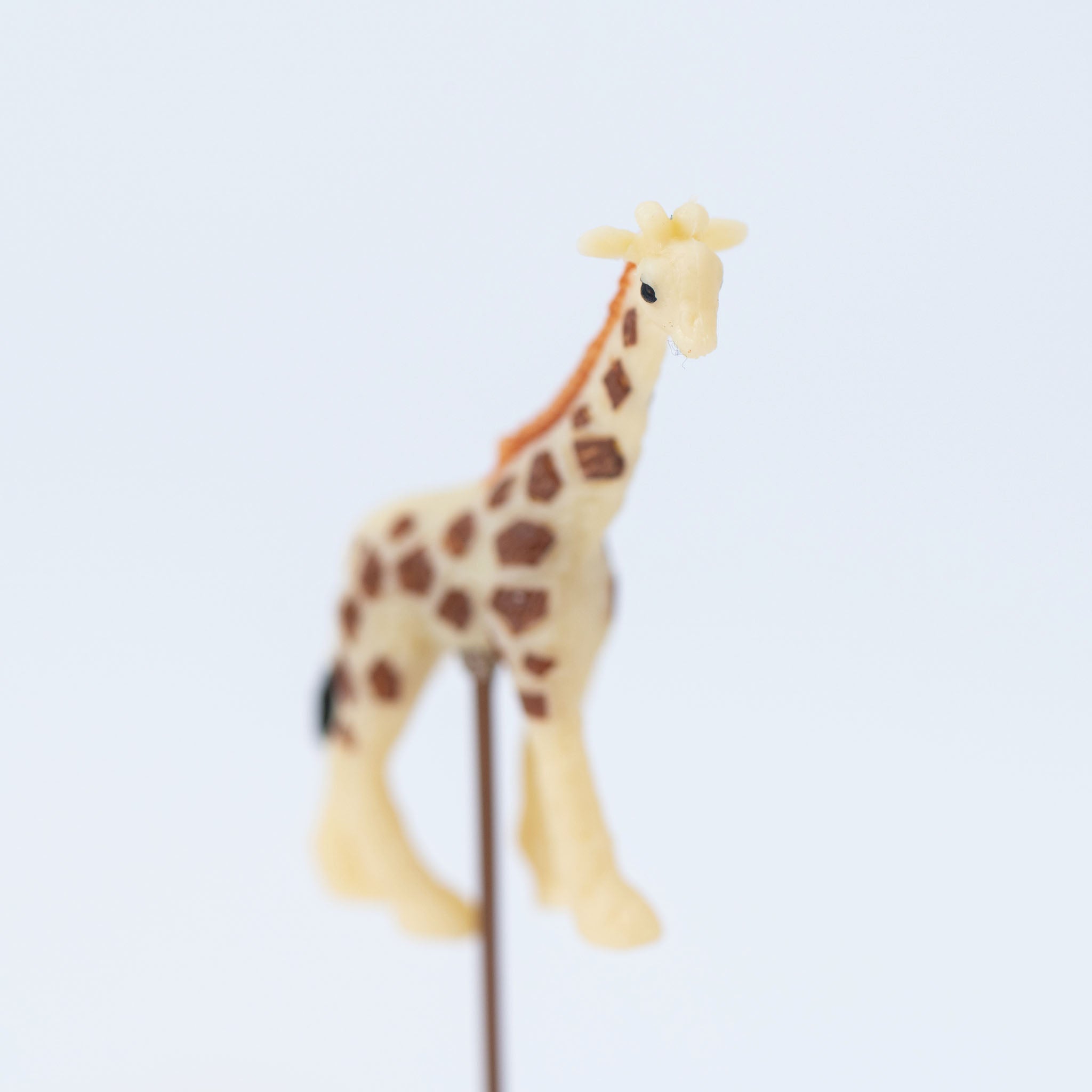 Animal Bonsai Pick - Giraffe