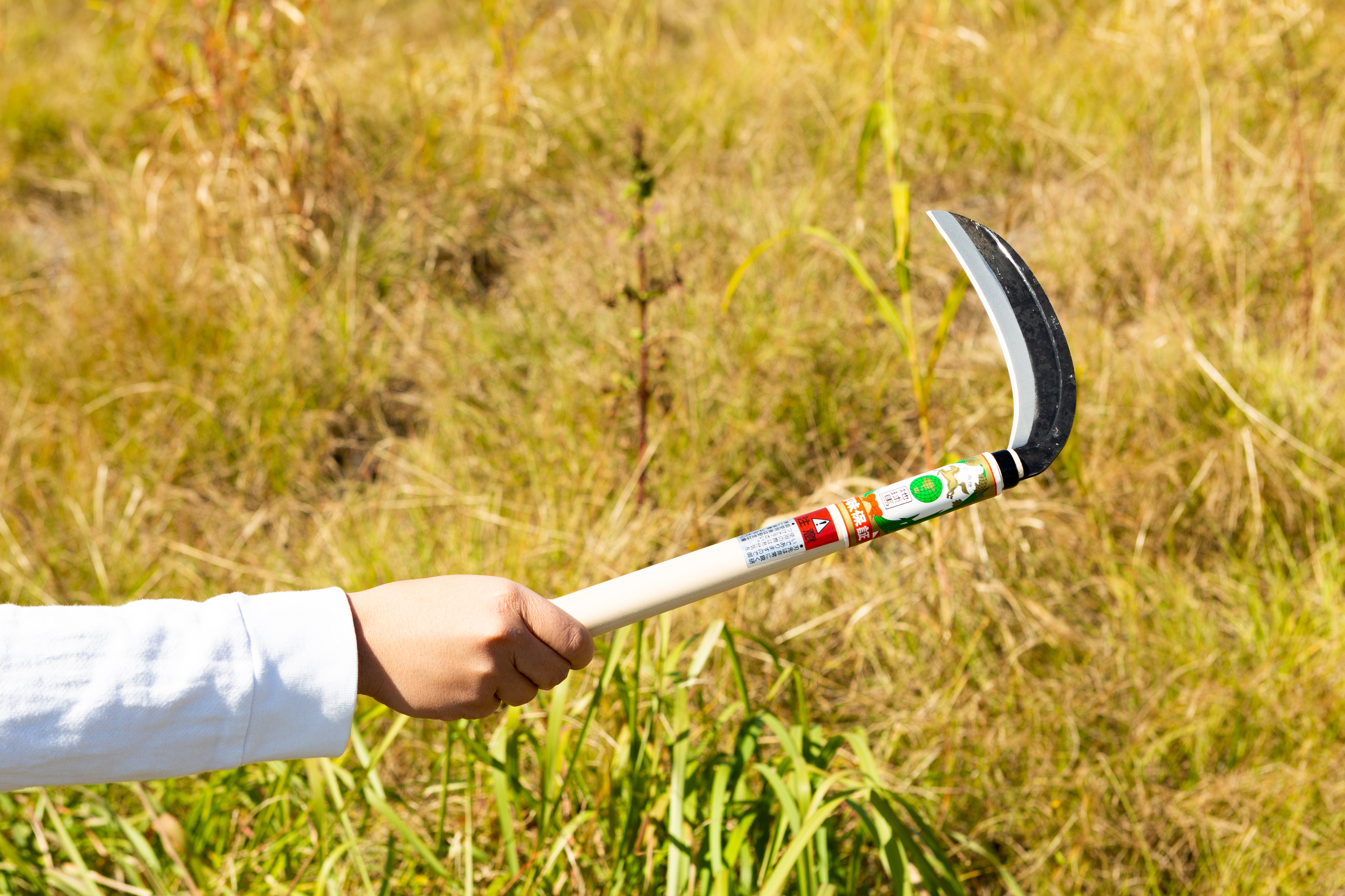 Chikyuma Japanese Weeding Sickle (Thin Blade) 7.09 in (180 mm) - Japanese Gardening Tools