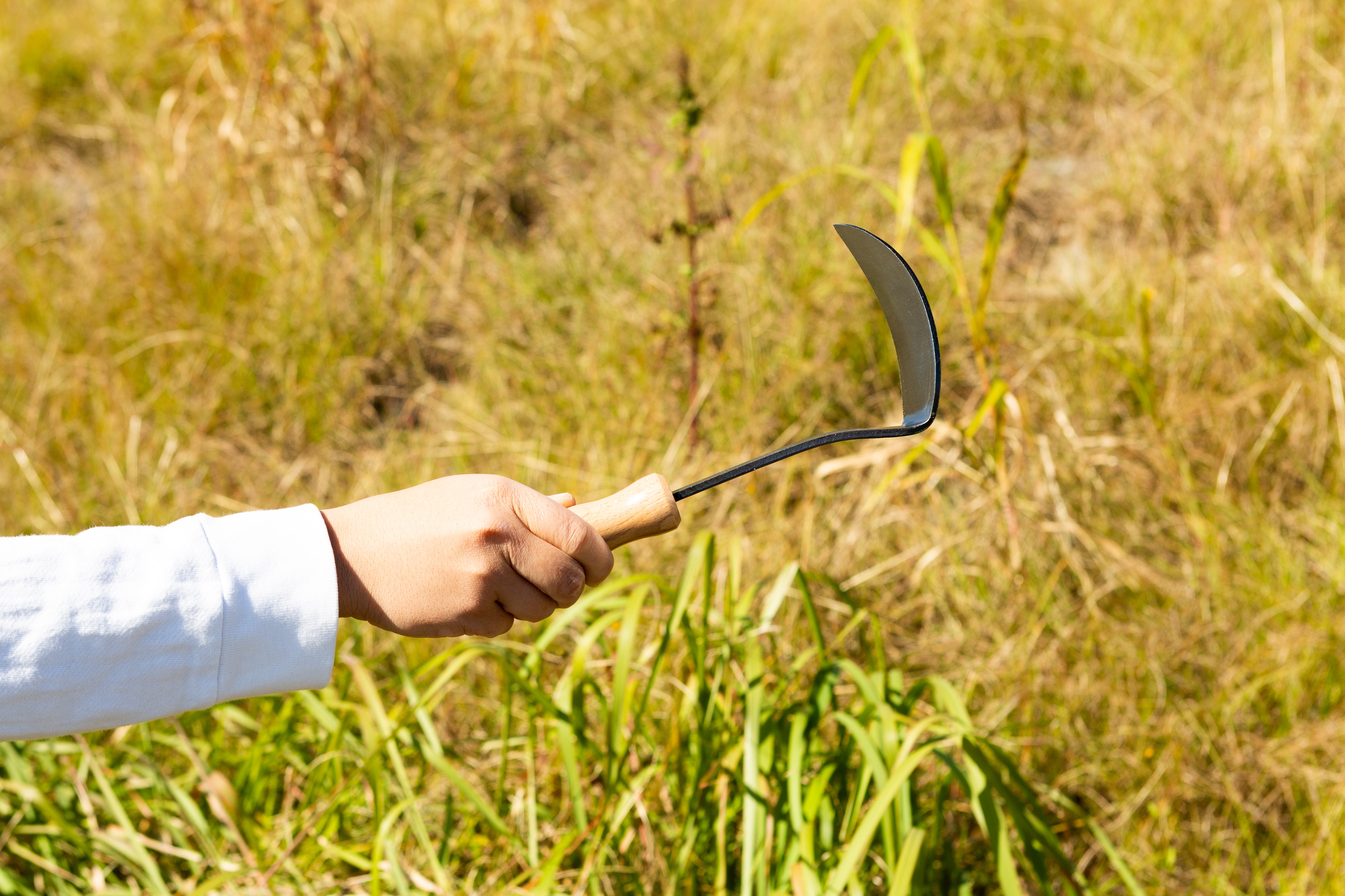 Nasu Kana Scraper, Hand Hoe for Gardening - Japanese Gardening Tools