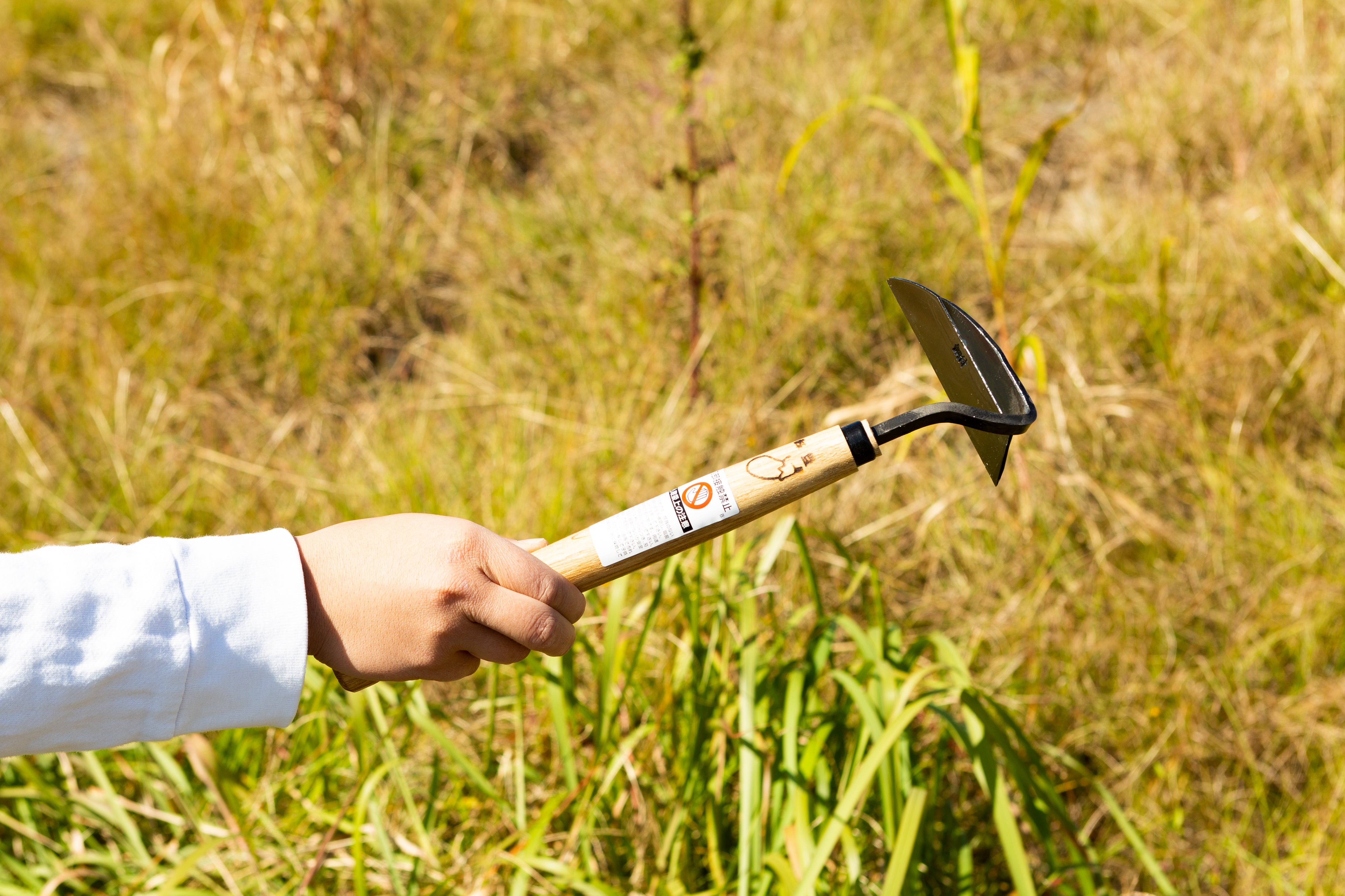 Nasu Nejiri Scraper, Hand Hoe for Gardening - Japanese Gardening Tools