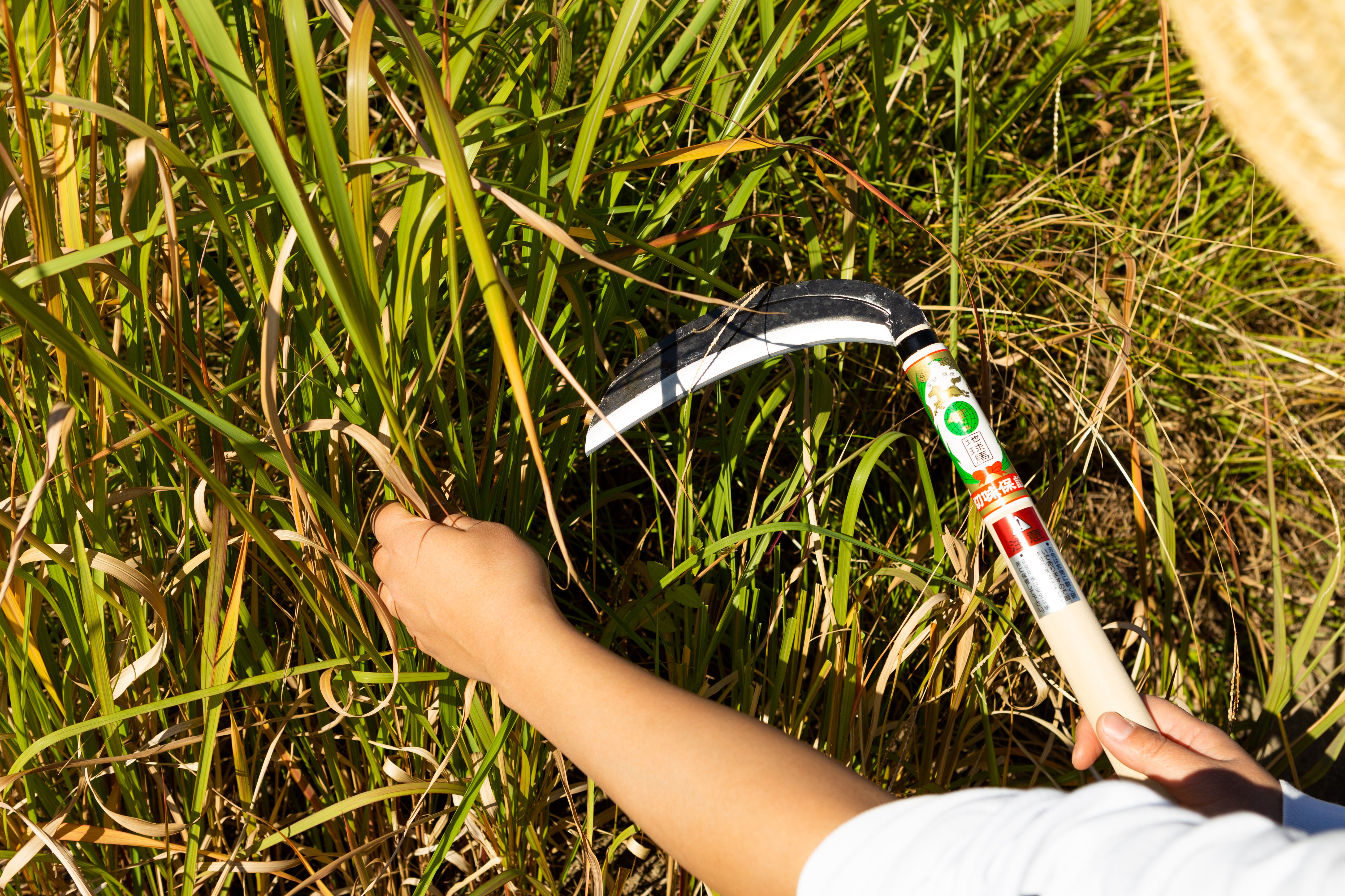 Chikyuma Japanese Weeding Sickle (Thin Blade) 7.09 in (180 mm) - Japanese Gardening Tools