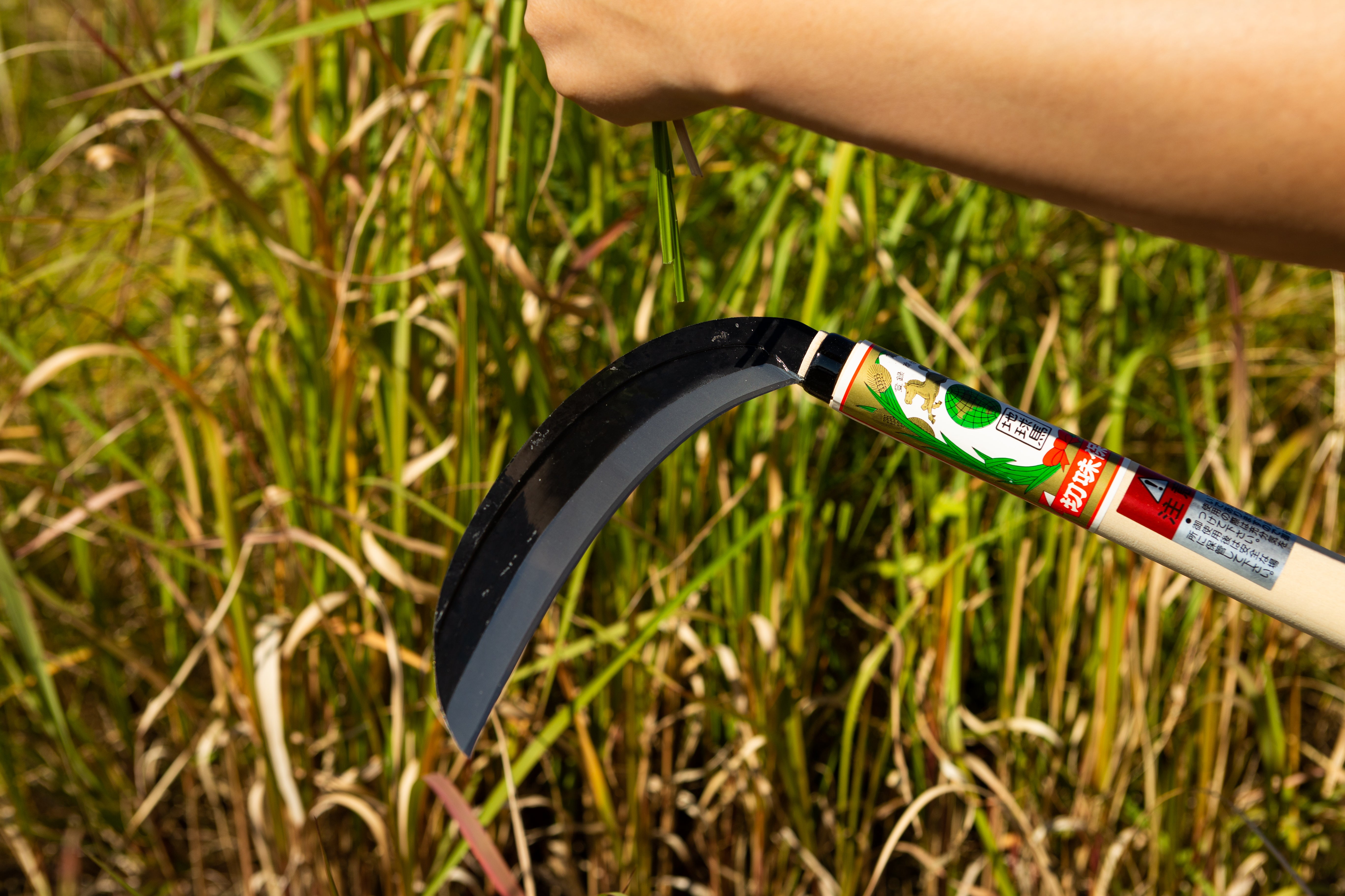 Chikyuma Japanese Weeding Sickle (Thin Blade) 7.09 in (180 mm) - Japanese Gardening Tools