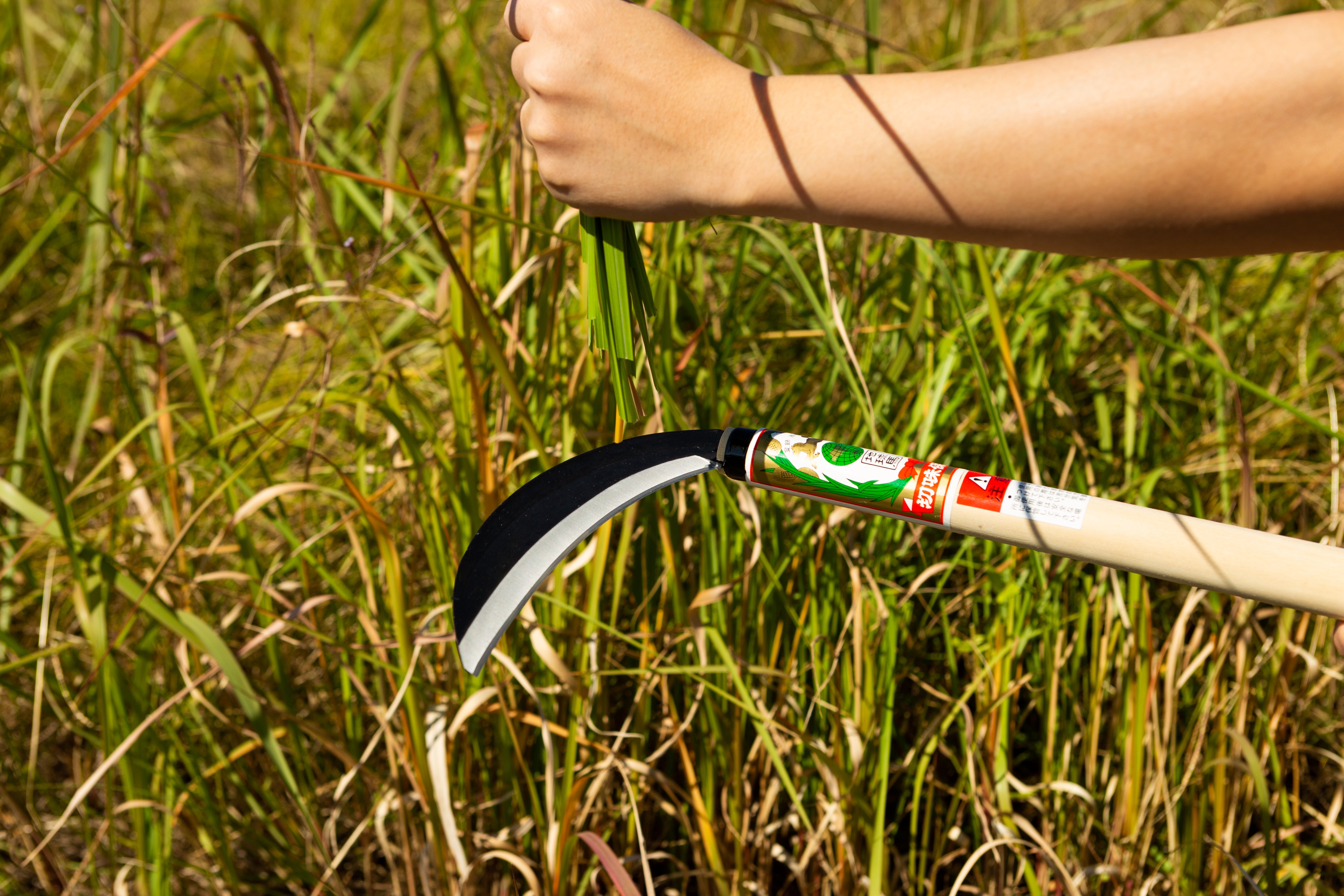 Chikyuma Japanese Weeding Sickle (Medium Blade) 7.09 in (180 mm) - Japanese Gardening Tools