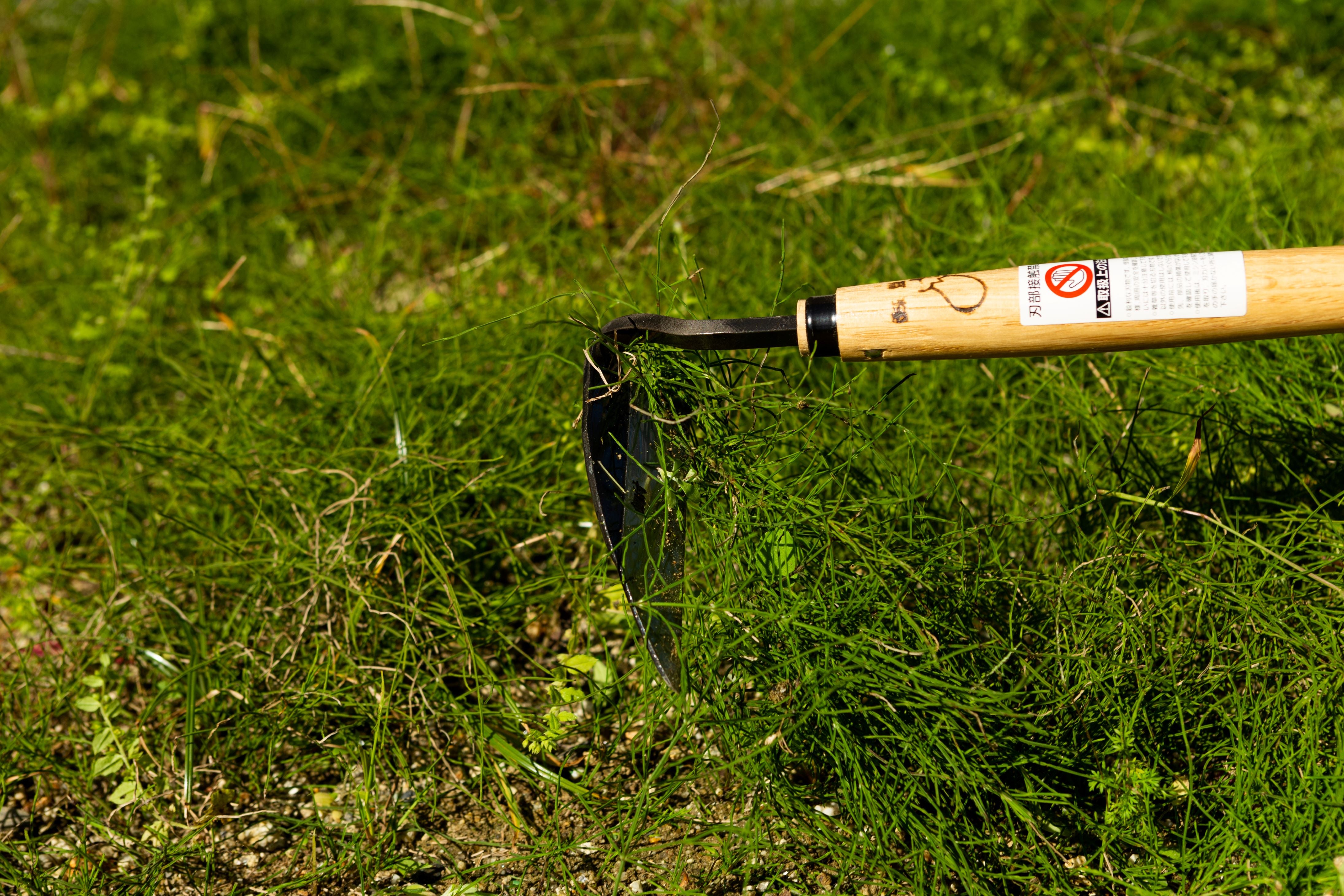 Chikyuma Japanese Weeding Sickle (Thick Blade) - Japanese Gardening Tools