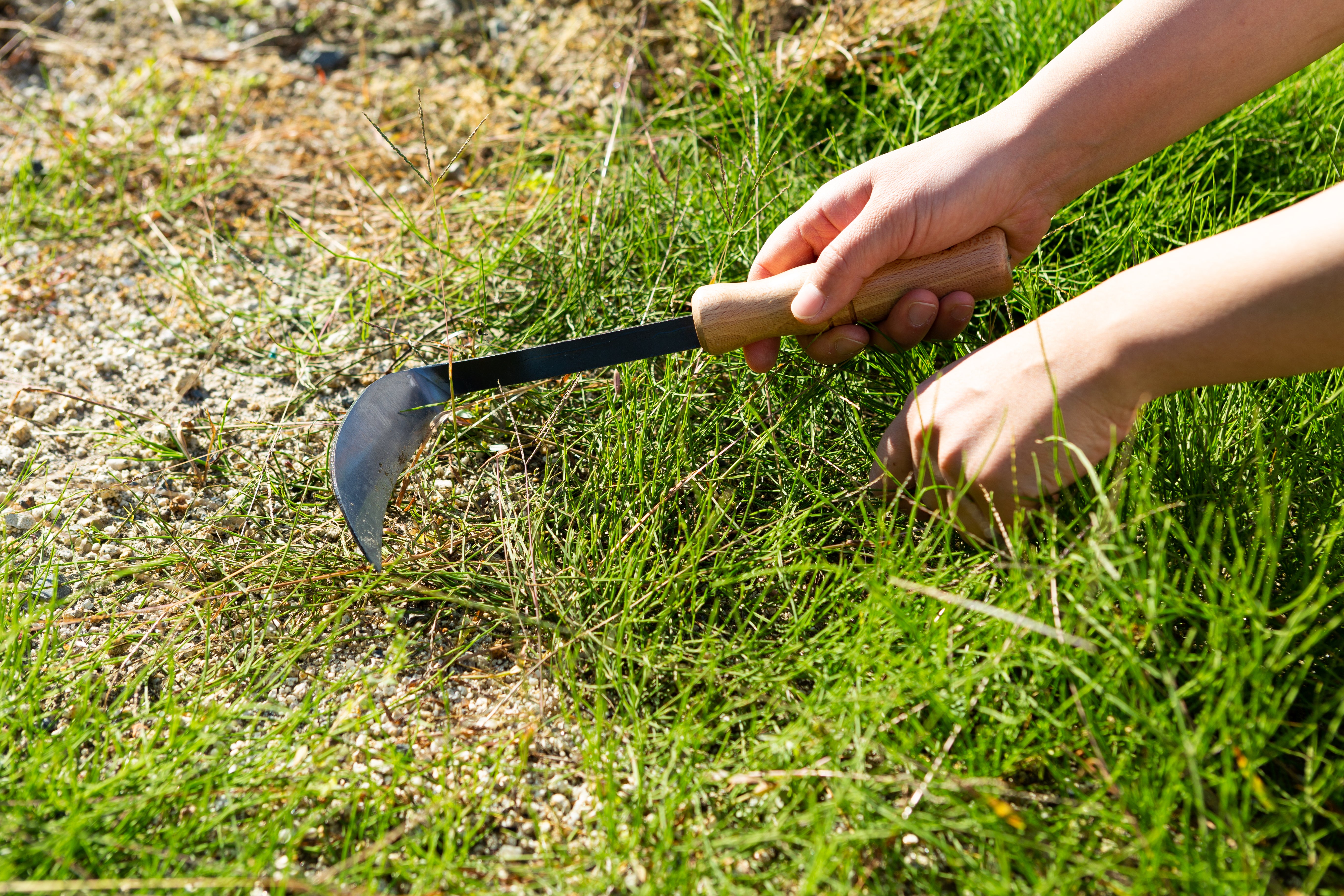 Nasu Kana Scraper, Hand Hoe for Gardening - Japanese Gardening Tools