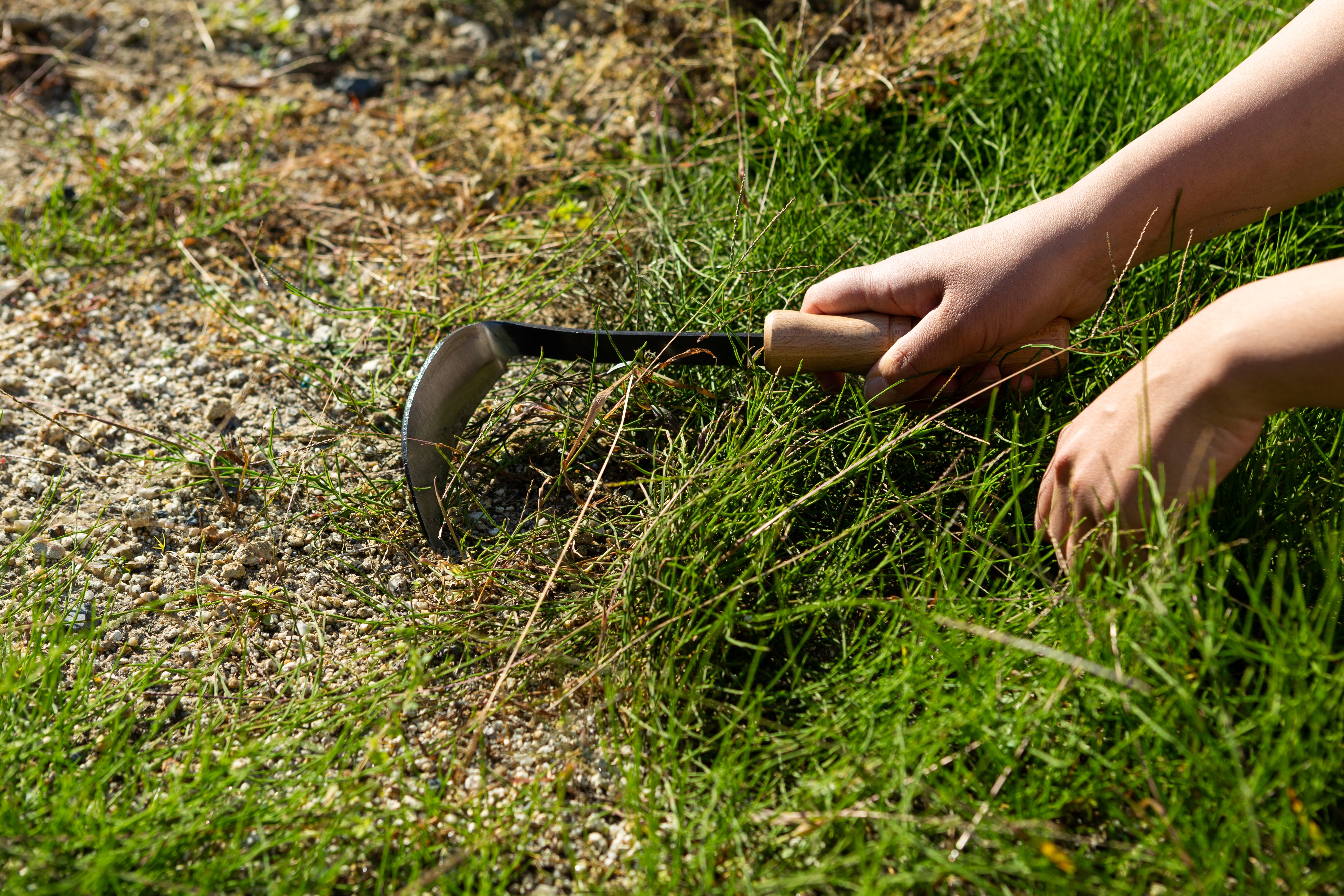 Nasu Kana Scraper, Hand Hoe for Gardening - Japanese Gardening Tools