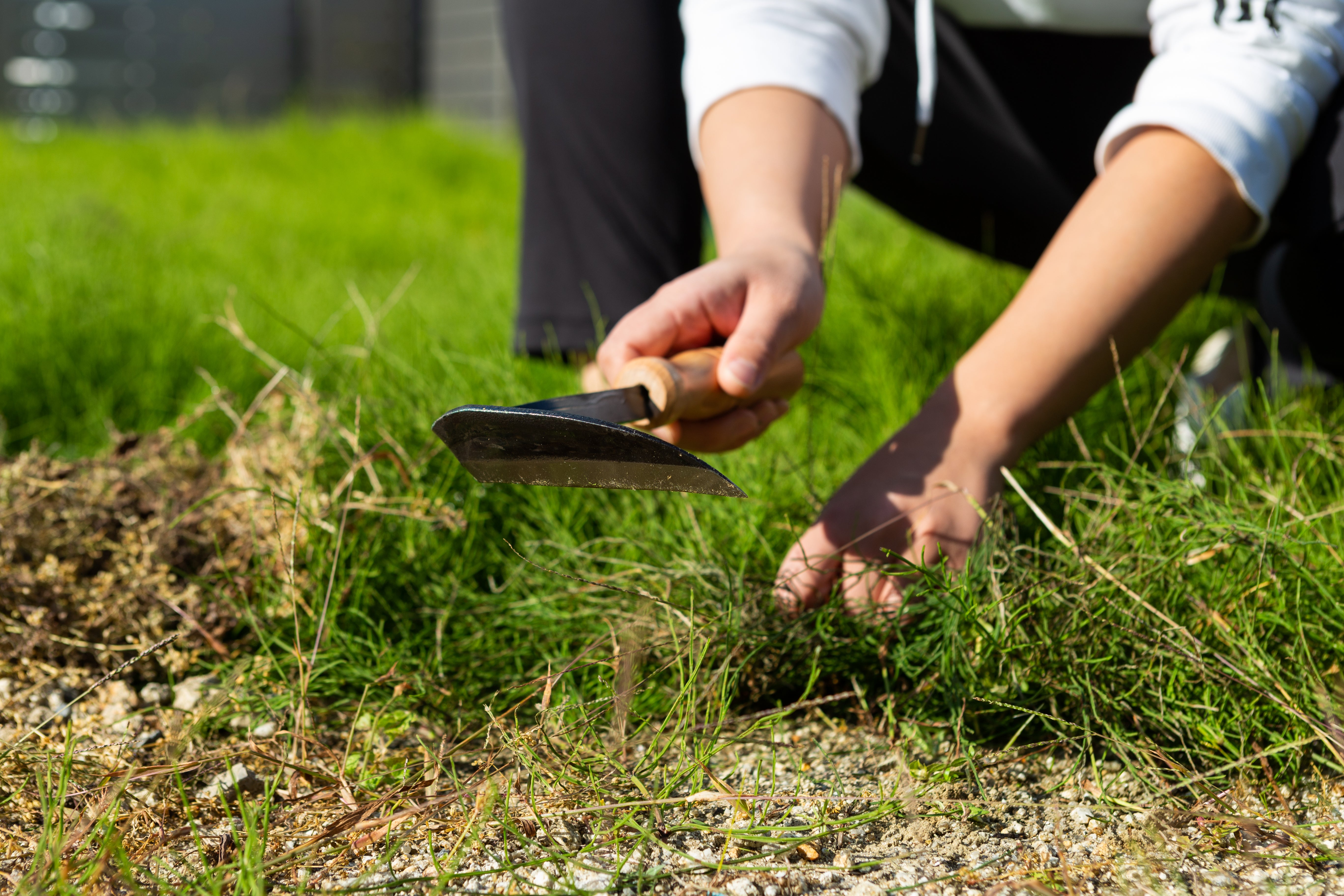 Nasu Kana Scraper, Hand Hoe for Gardening - Japanese Gardening Tools