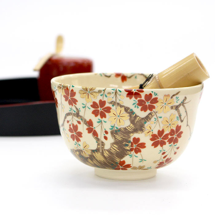 Traditional Matcha Bowl Shidare Sakura