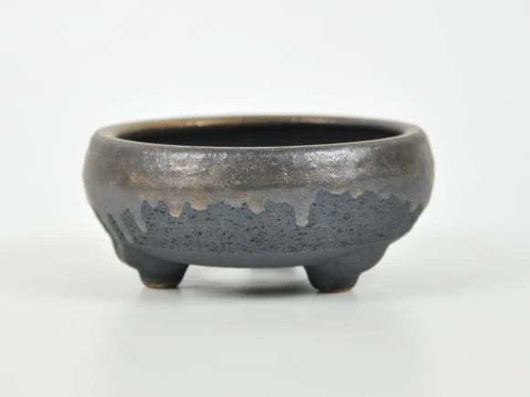 Japanese Bonsai Pot, Shigaraki ware, Kyuan iron pot, gold glazed, No.4