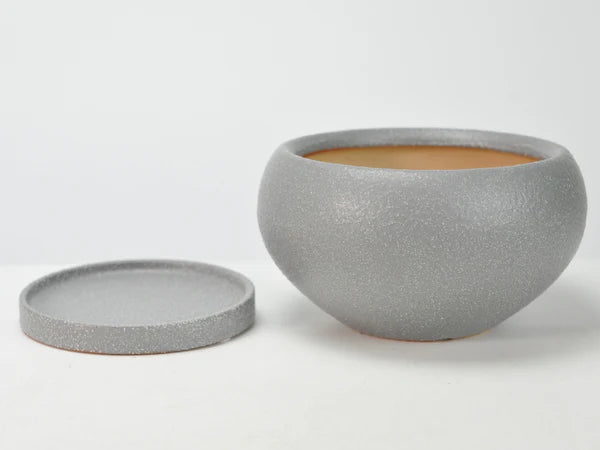 Japanese Bonsai Pot, Ronea with Saucer, Gray, No.5