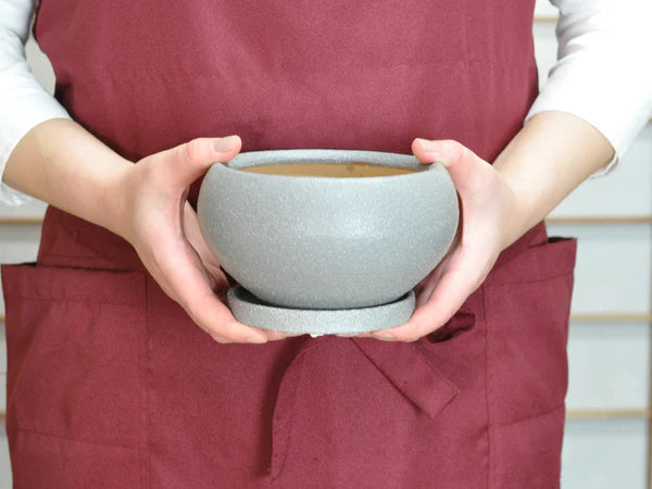 Japanese Bonsai Pot, Ronea with Saucer, Gray, No.5