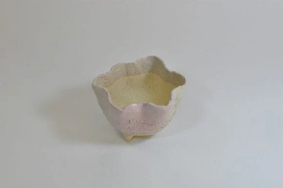 Cherry Blossom-Shaped Shigaraki pot, Pink, Bonsai Pot, No.4, Shigaraki ware