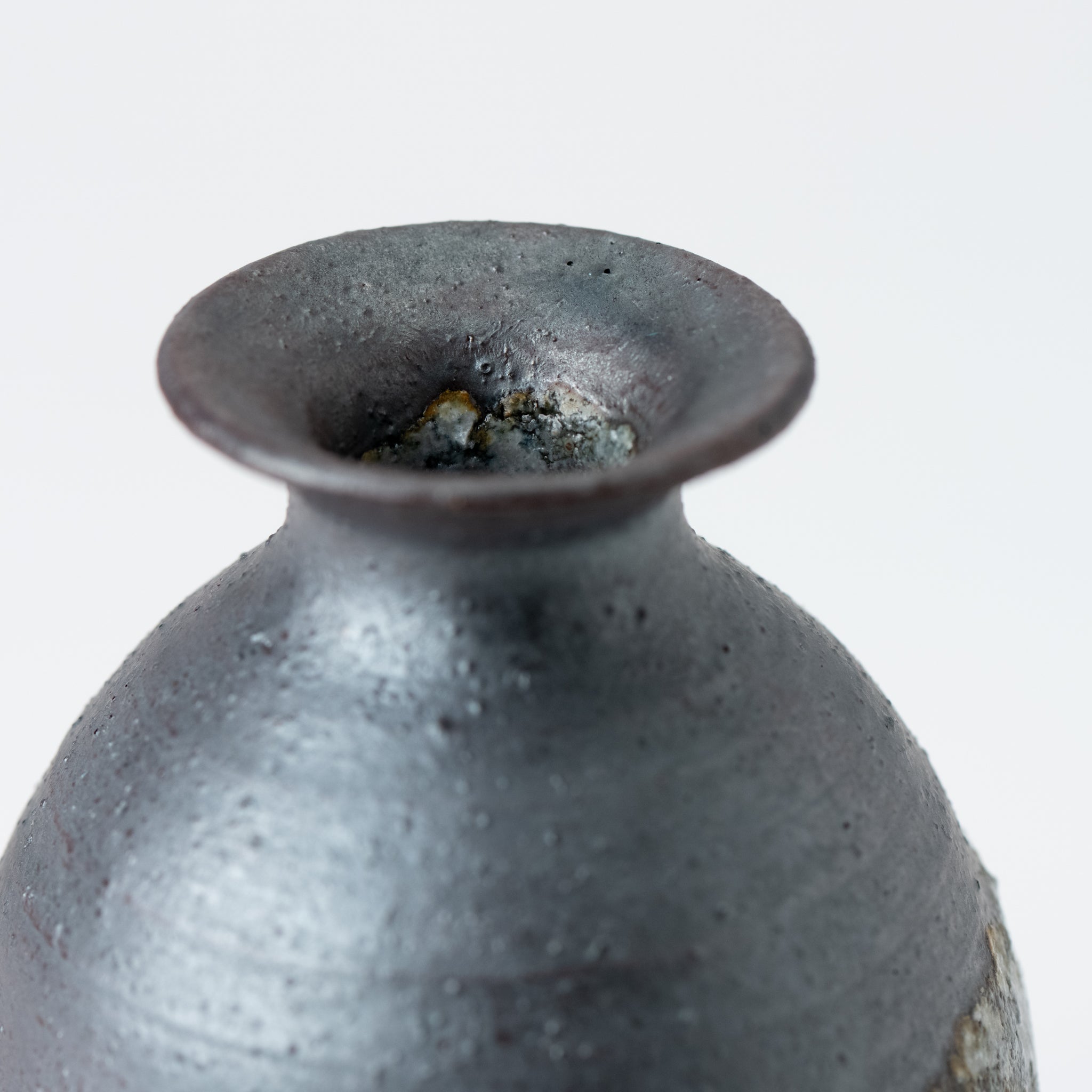 Naginowa Shigaraki Ware Ginga Tokkuri Sake Cup