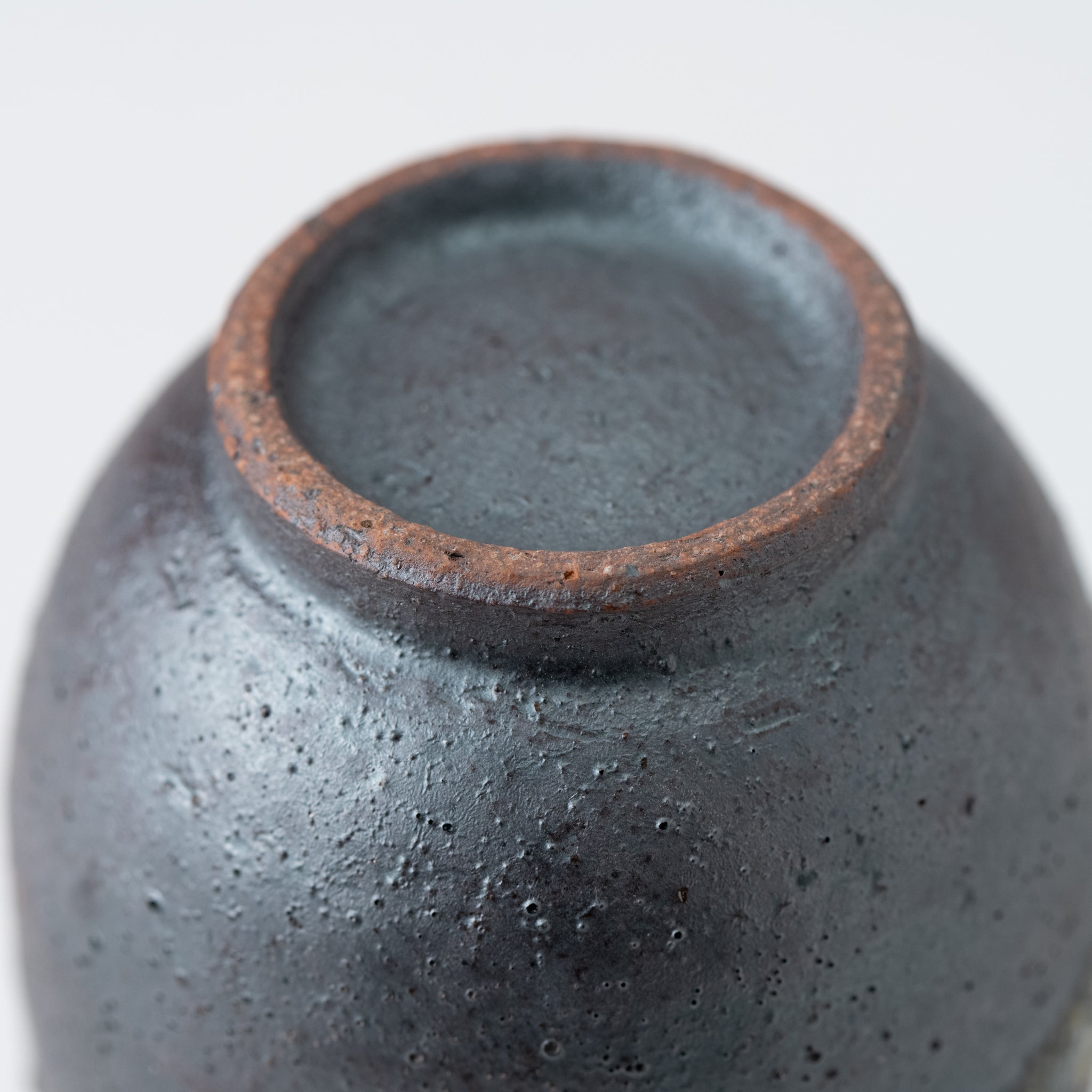 Naginowa Shigaraki Ware Ginga Tokkuri Sake Cup