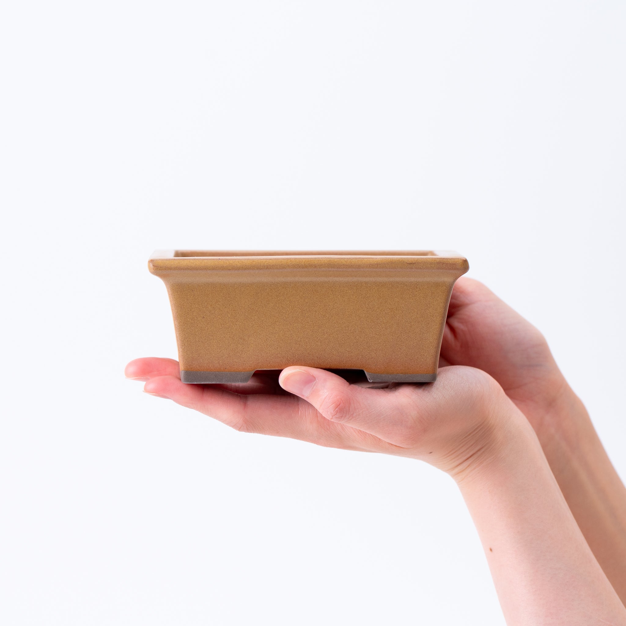 Naginowa Yellow longhorn BANKO Ware Japanese Bonsai Pot 5.3in.