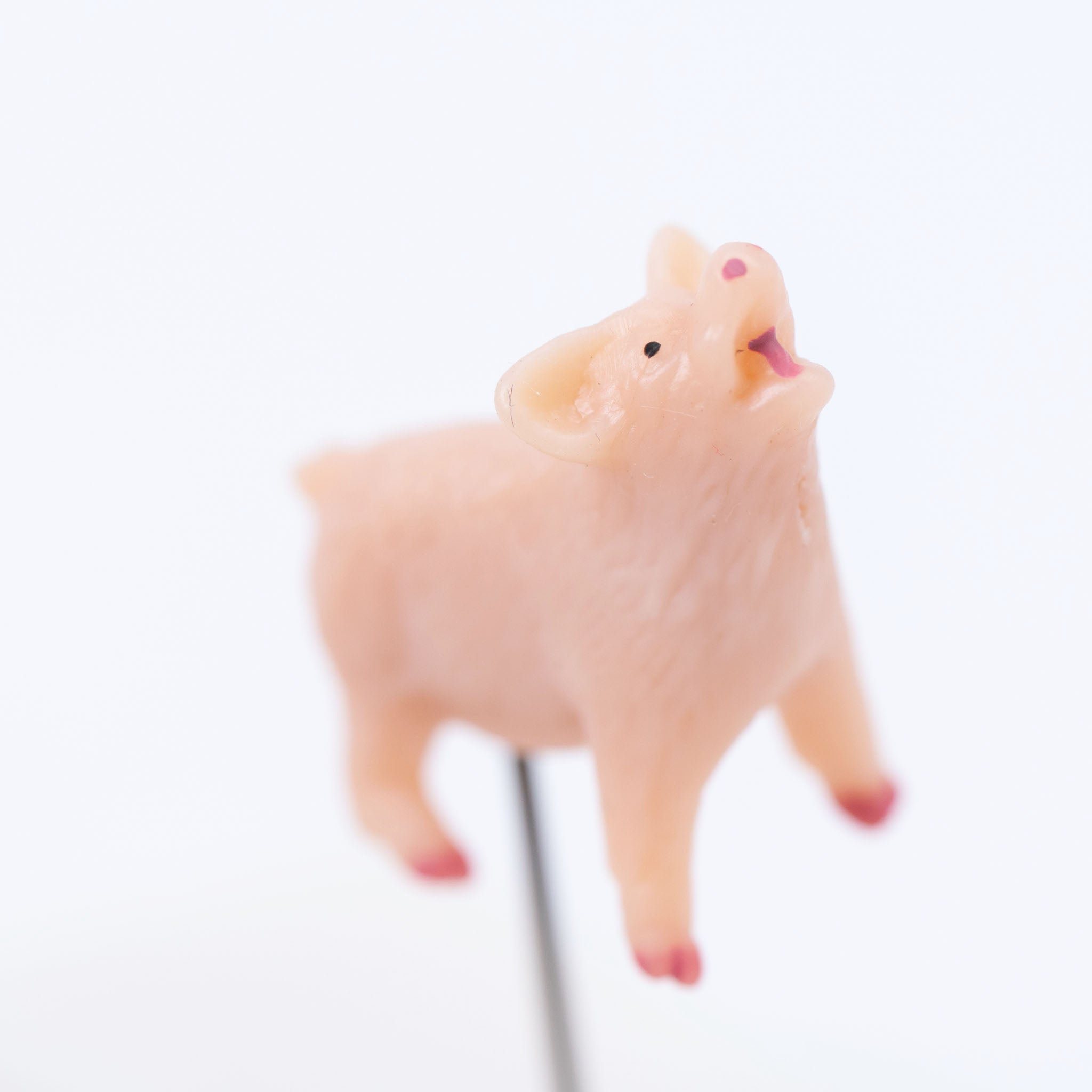 Animal Bonsai Pick - Pig