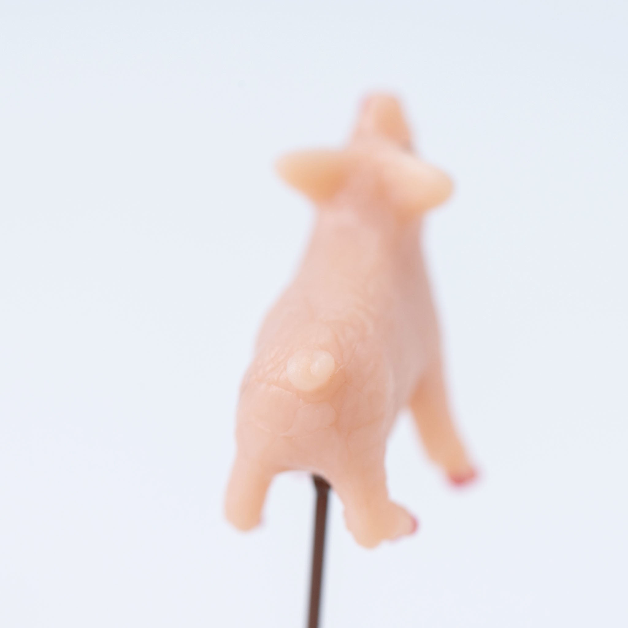 Animal Bonsai Pick - Pig