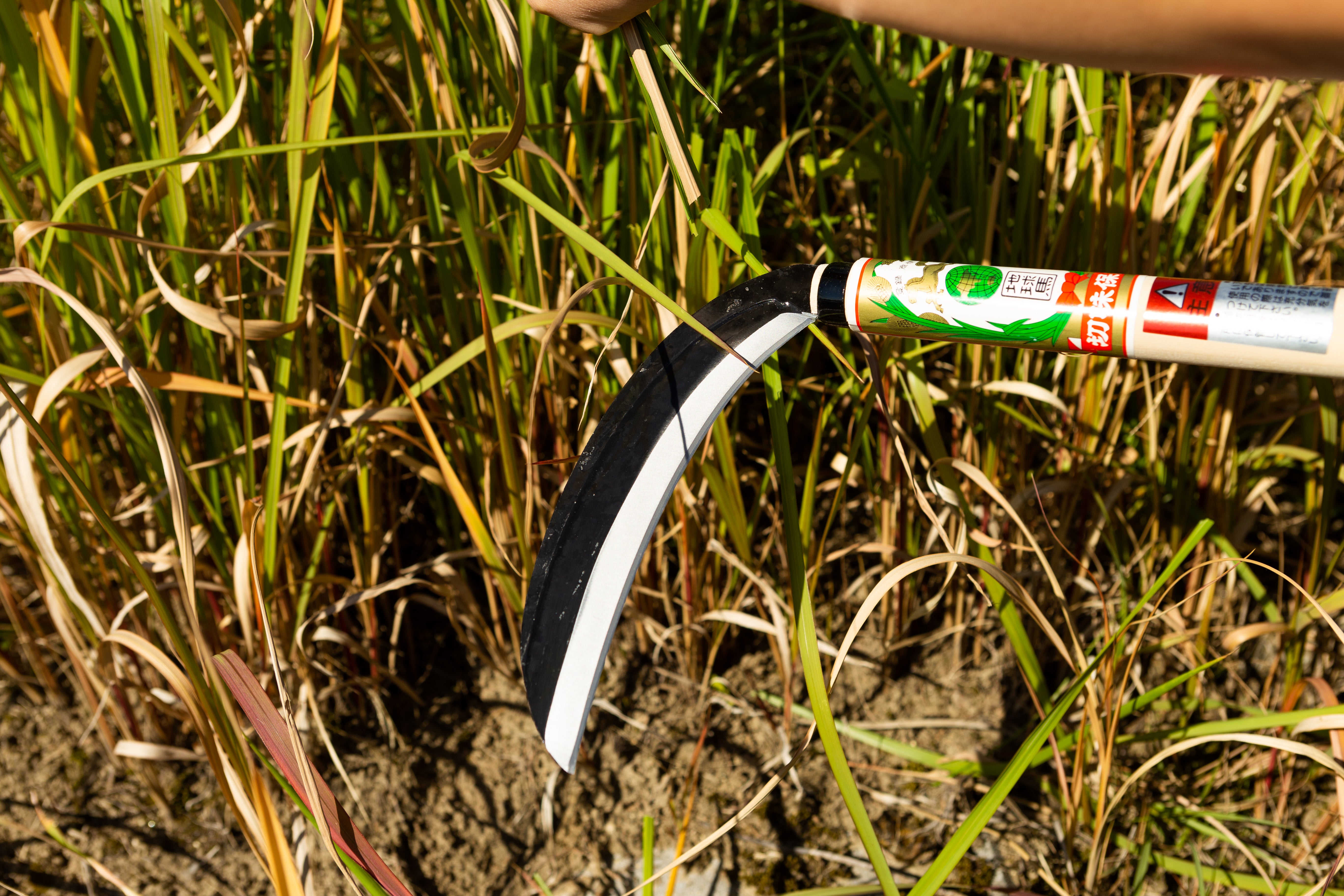 Chikyuma Japanese Weeding Sickle (Thin Blade) 7.09 in (180 mm) - Japanese Gardening Tools