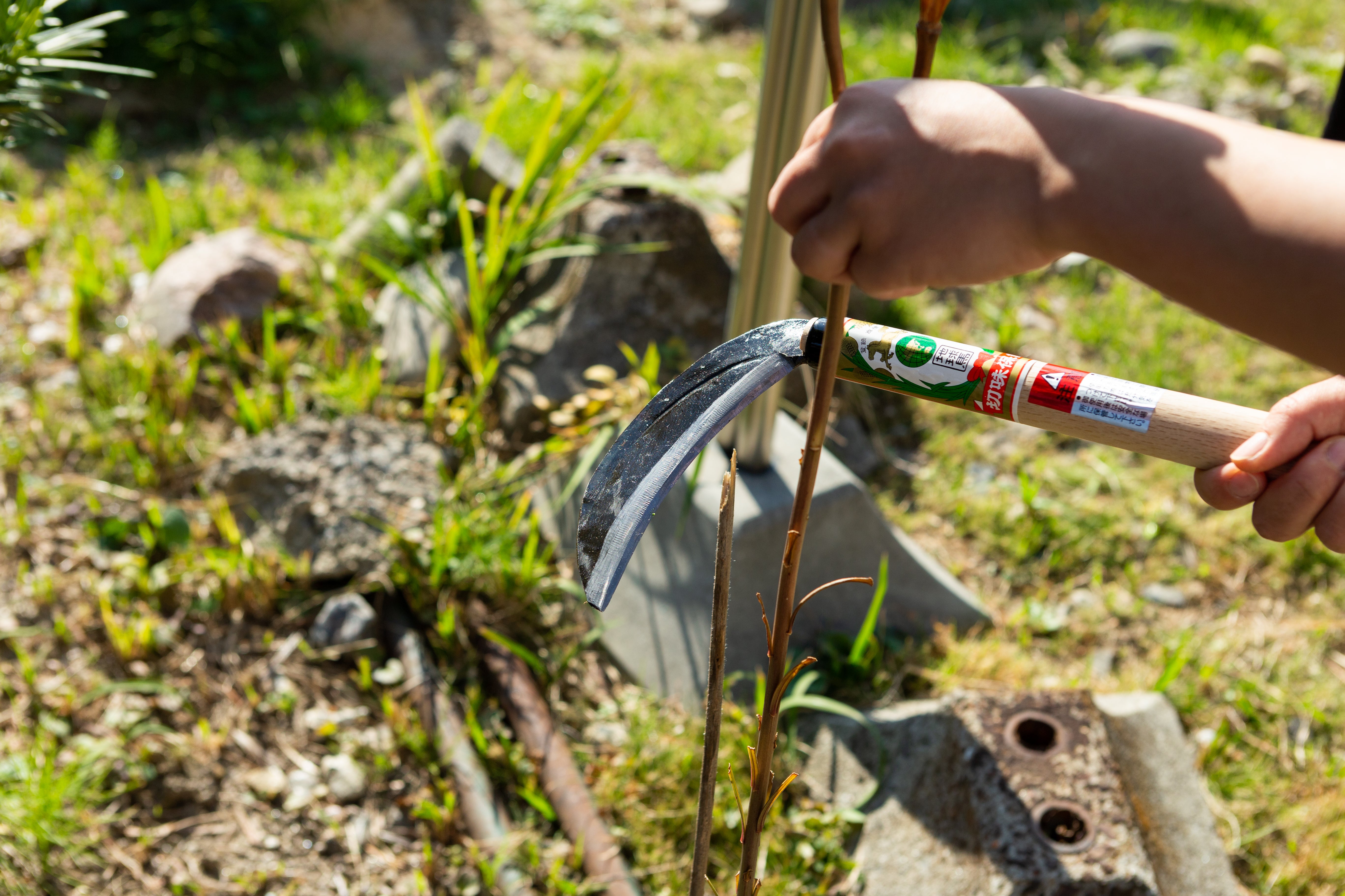 Chikyuma Japanese Weeding Sickle (Thick Blade) - Japanese Gardening Tools